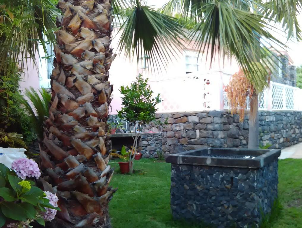 Casa Do Poco Funchal Lejlighed Eksteriør billede